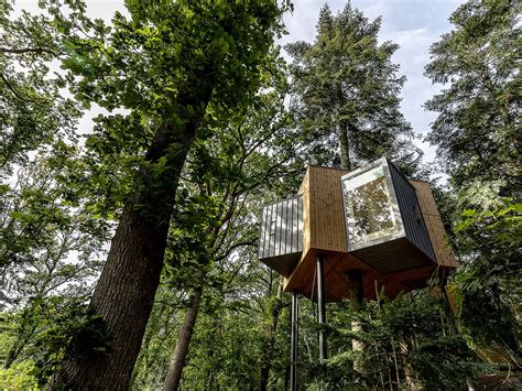 Secret treehouses in the middle of a Danish forest – The Treetop。